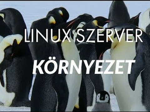 Linux szerver környezet logo